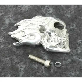Istc-1 Chrome Dome Motorcycle Products Polished Aluminum Flaming Skull Air Cleaner Insert -