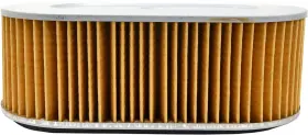 12-43910 Emgo Air Filter