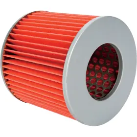 17211-kj9-670 Emgo 12-43930 Air Filter For Honda