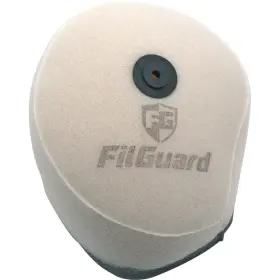 1-40-45-cl77 Filguard Premium Dual Stage Air Filter 1-40-45