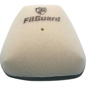 Filguard 1-80-46-cl77 Premium Dual Stage Air Filter 1-80-46