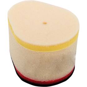 Filguard 2-40-06-cl77 Premium Dual Stage Air Filter 2-40-06