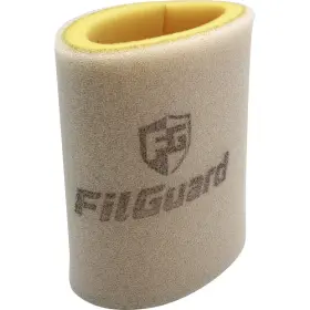 3-80-13-cl77 Filguard Premium Dual Stage Air Filter 3-80-13
