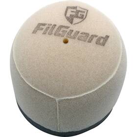 Filguard 889849411563 Premium Dual Stage Air Filter 1-40-04