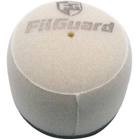 Filguard 889849411570 Premium Dual Stage Air Filter 1-40-05