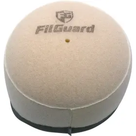 Filguard 889849411679 Premium Dual Stage Air Filter 1-70-43