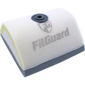 Filguard 889849411792 Premium Dual Stage Air Filter 2-20-06