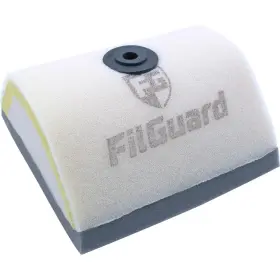 Filguard 889849411792 Premium Dual Stage Air Filter 2-20-06