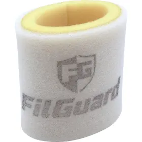 Filguard 889849411808 Premium Dual Stage Air Filter 2-20-07