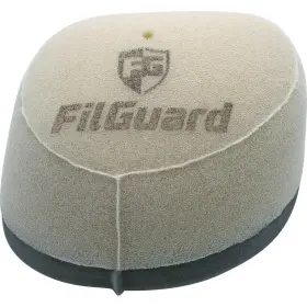 Filguard 889849411891 Premium Dual Stage Air Filter 2-80-14
