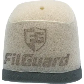 Filguard 889849411921 Premium Dual Stage Air Filter 2-80-17