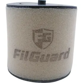Filguard 889849411983 Premium Dual Stage Air Filter 3-20-14