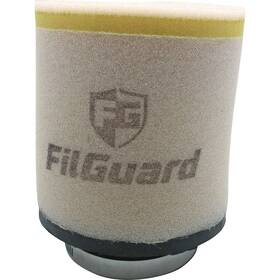 Filguard 889849411990 Premium Dual Stage Air Filter 3-20-15