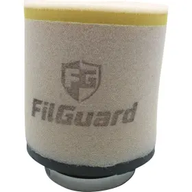 Filguard 889849411990 Premium Dual Stage Air Filter 3-20-15