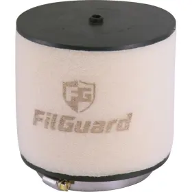 Filguard 889849412010 Premium Dual Stage Air Filter 3-20-20