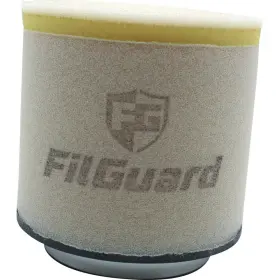 Filguard 889849412027 Premium Dual Stage Air Filter 3-20-24