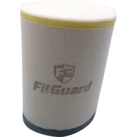 Filguard 889849412096 Premium Dual Stage Air Filter 3-40-16