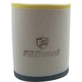Filguard 889849412164 Premium Dual Stage Air Filter 3-80-14