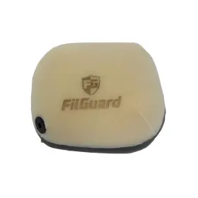 Filguard 889849412263 Premium Dual Stage Air Filter 1-50-46