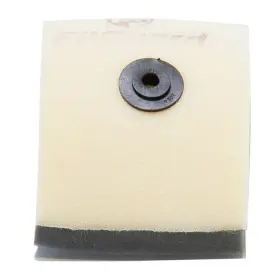 Filguard 889849412287 Premium Dual Stage Air Filter 2-20-09