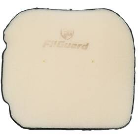 Filguard 889849412416 Premium Dual Stage Air Filter 1-30-46