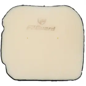 Filguard 889849412416 Premium Dual Stage Air Filter 1-30-46