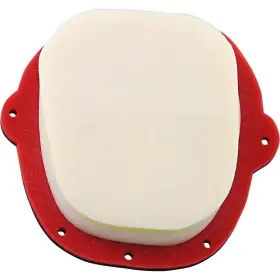 Filguard 889849412461 Premium Dual Stage Air Filter 1-20-37