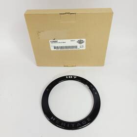 Harley-davidson 61300697 Oem Harley-davidson 19-24 Softail Heritage 107 Inch Air Filter Insert