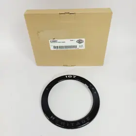 61300697 Harley-davidson Oem 19-24 Softail Heritage 107 Inch Air Filter Insert