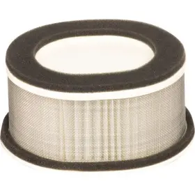 Hfa4911 Hiflofiltro O.e.m Replacement Air Filter -