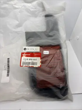 17210-kfg-010 Honda Air Filter Cleaner Element 04-07 Nss Ps 250 Reflex Big Ruckus Genuine