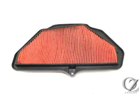 11013-0757 Kawasaki 2024 24 Ninja Zx10r Zx10 Air Filter Airfilter