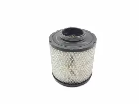 7082037 Polaris Air Filter 2017 Ace 570 Sp 3136