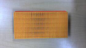 Triumph T2201816 Oem Motorcycle Air Filter Element Genuine New
