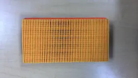 T2201816 Triumph Oem Motorcycle Air Filter Element Genuine New
