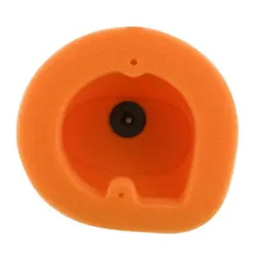 151116 Twin Air Dual Foam Filter