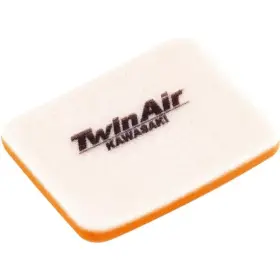 151600 Twin Air - Filter