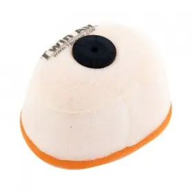 151602 Twin Air - Filter