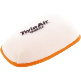 152598 Twin Air - Filter