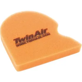 153051 Twin Air - Filter