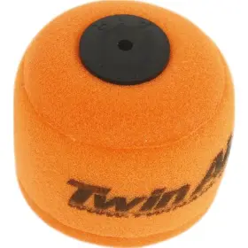 154143 Twin Air - Filter
