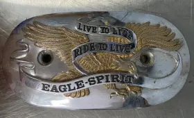 14-0115c Wyatt Gatling Eagle Spirit Oval Chrome Air Cleaner Insert For Harley-davidson Gold And Silver