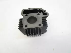 1p6-e1311-10-00 Yamaha 08 Ttr 50 E Cylinder Jug 2006-2024