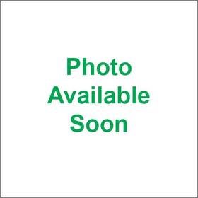 Yamaha 21w-14451-00-00 Air Cleaner