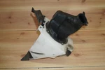 1998-99 Honda Airbox Filter Housing 17253-KZ3-J00 Used. Price: $139.98.