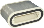 Hiflofiltro HFA4910 Air Filter New. Price: $36.98.