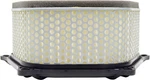 Emgo Air Filter Fits Suzuki GSX1300R Hayabusa 1999-2007 New. Price: $38.13.