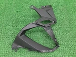 Kawasaki Genuine 2020 Ninja 1000SX Cowling, Slat, Lh 55028-0740 New. Price: $153.75.