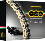 Regina Chain And Sprocket Kit 5ZRT/114KKA026 New. Price: $231.99.