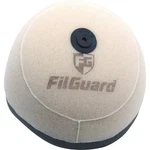 Filguard Premium Dual Stage Air Filter 1-50-43 New. Price: $28.69.